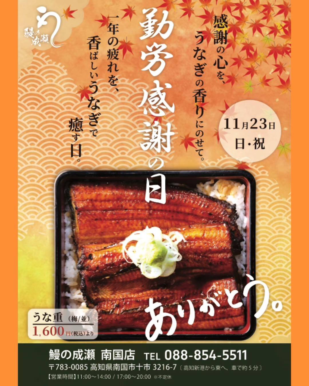 最新情報画像
