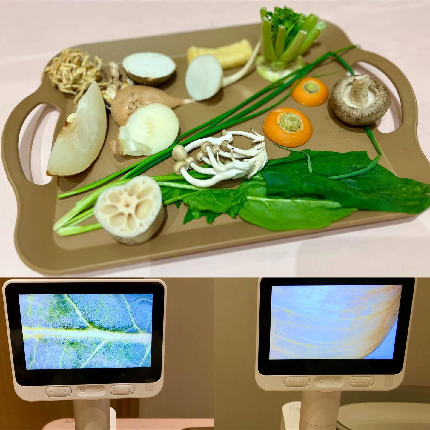 最新情報画像