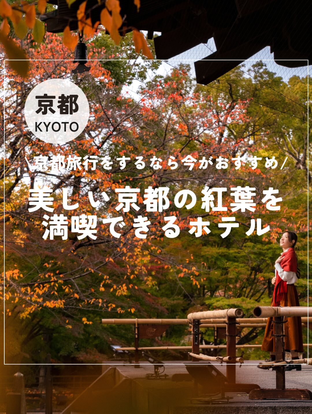 最新情報画像