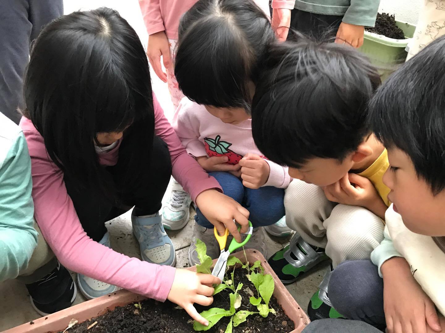 最新情報画像