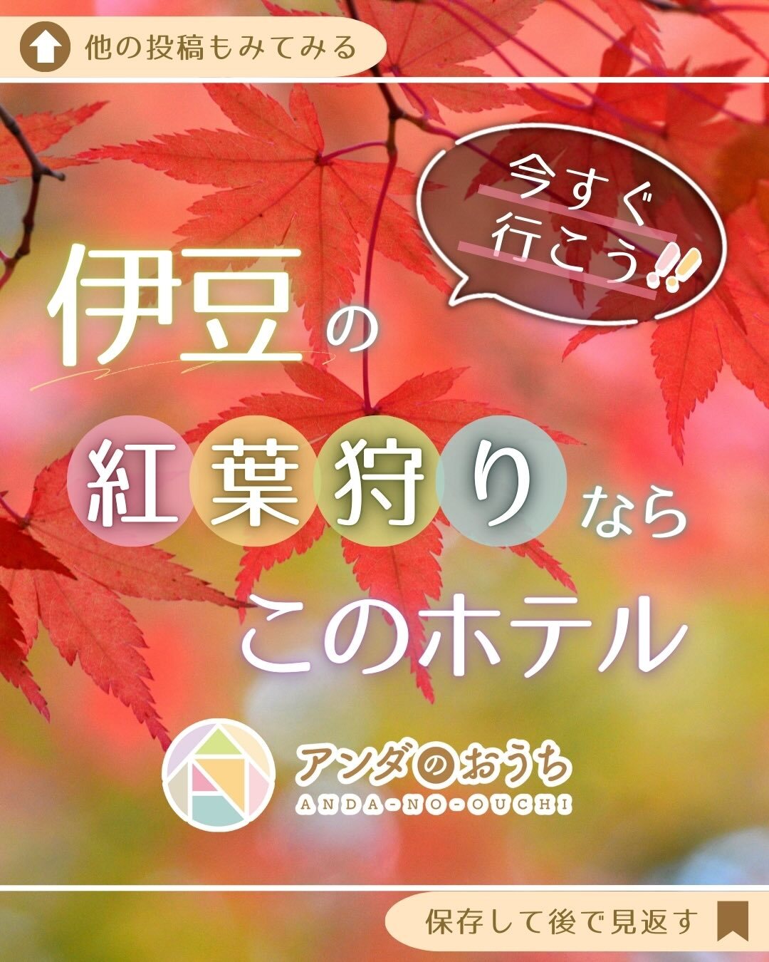 最新情報画像