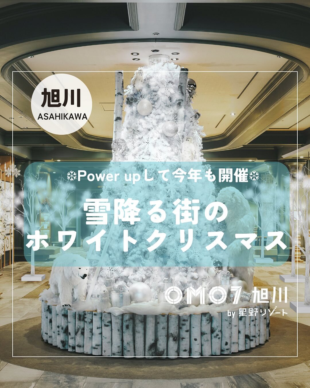 最新情報画像