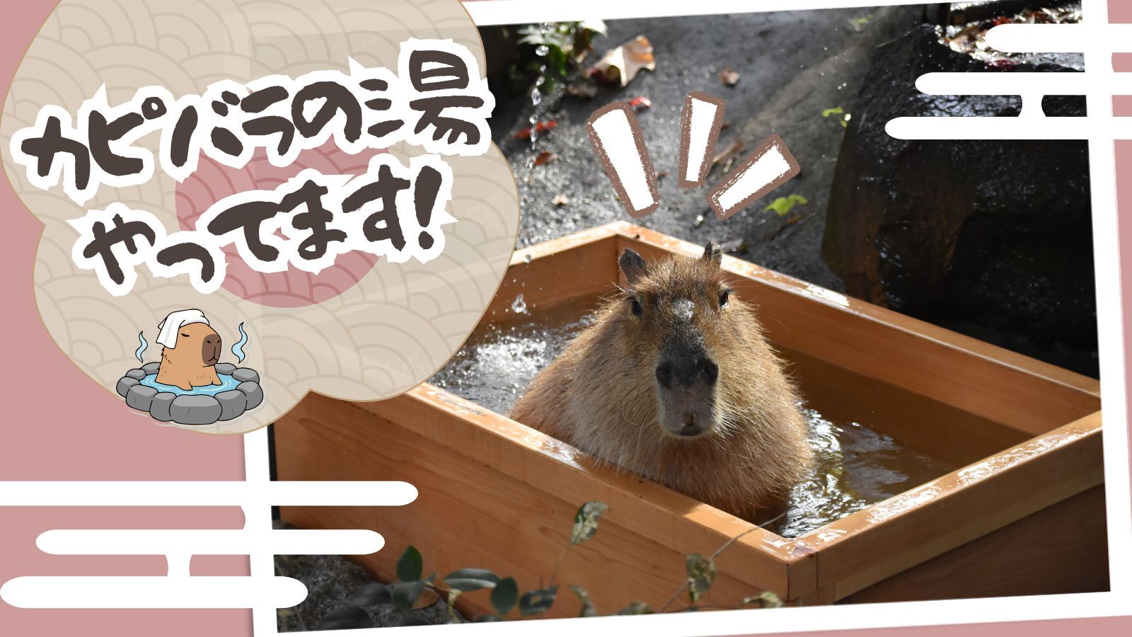 最新情報画像