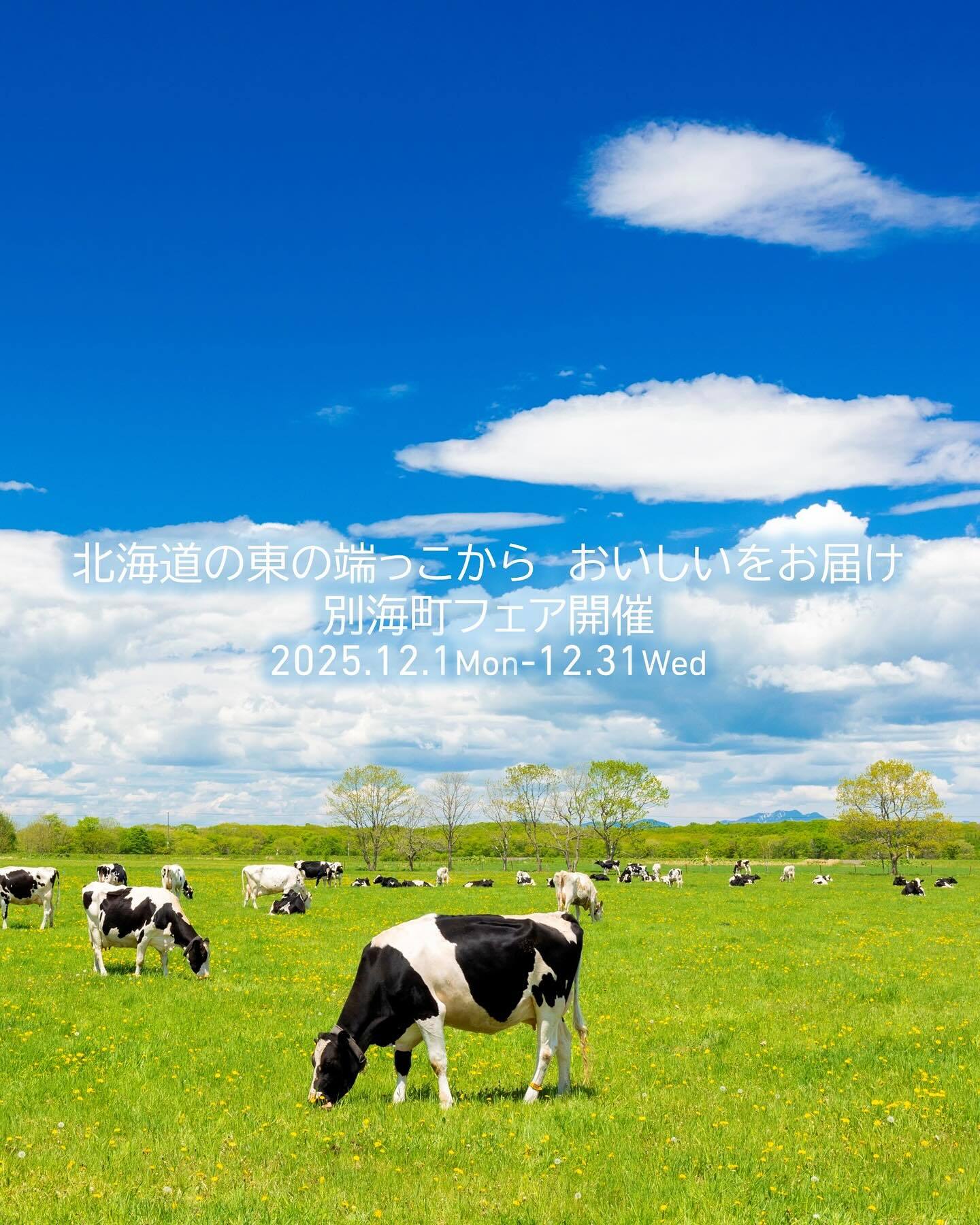 最新情報画像
