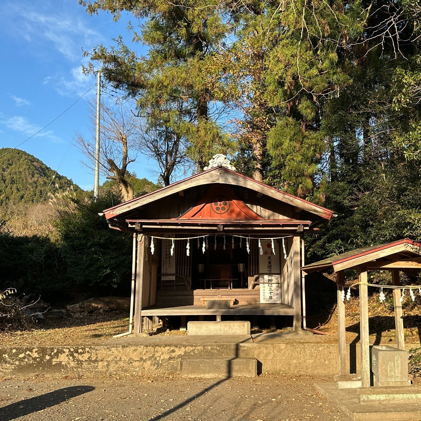 最新情報画像
