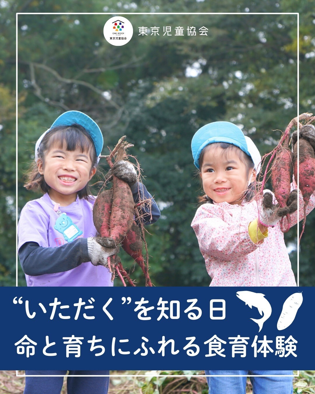 最新情報画像