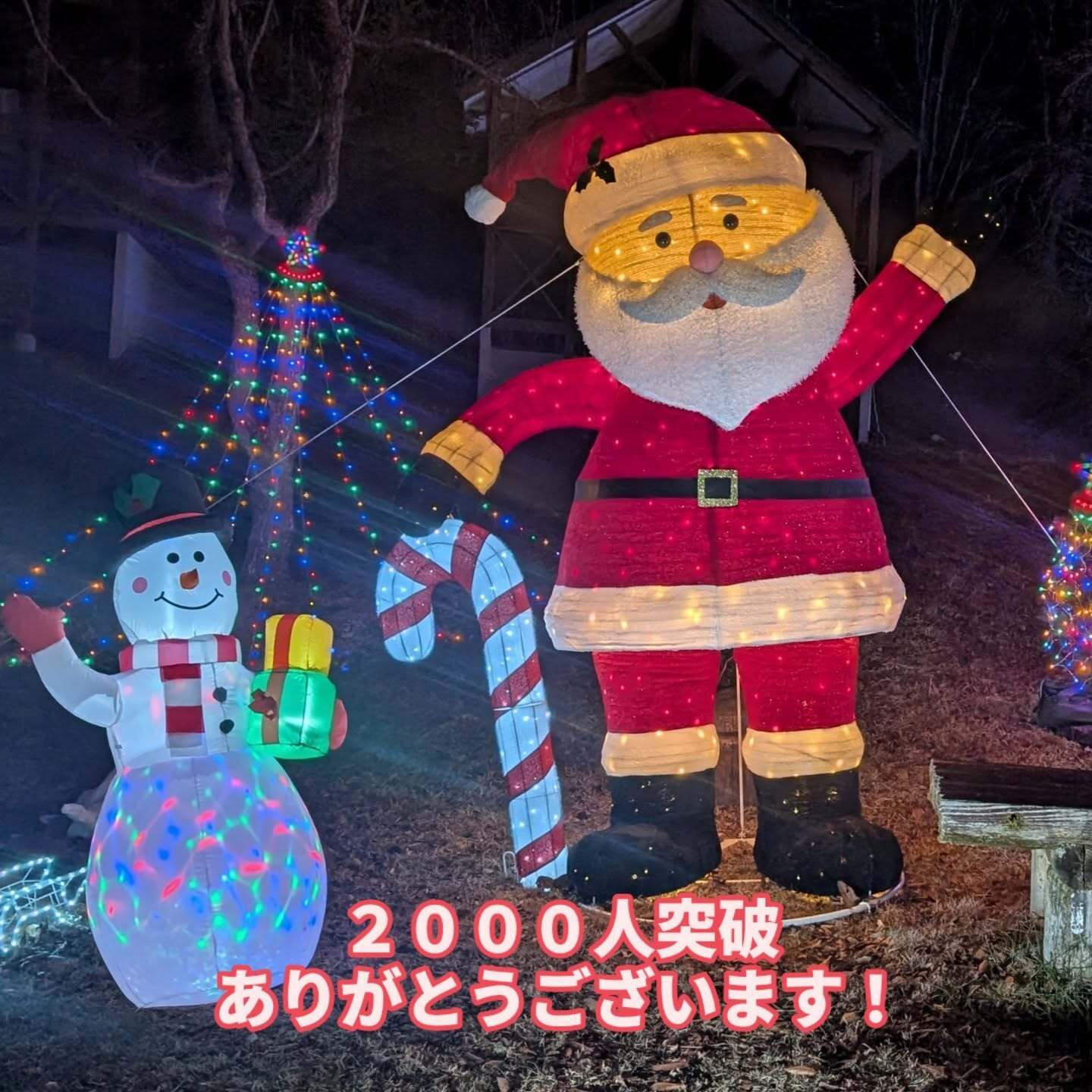 最新情報画像