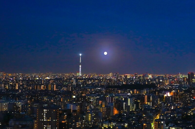 最新情報画像
