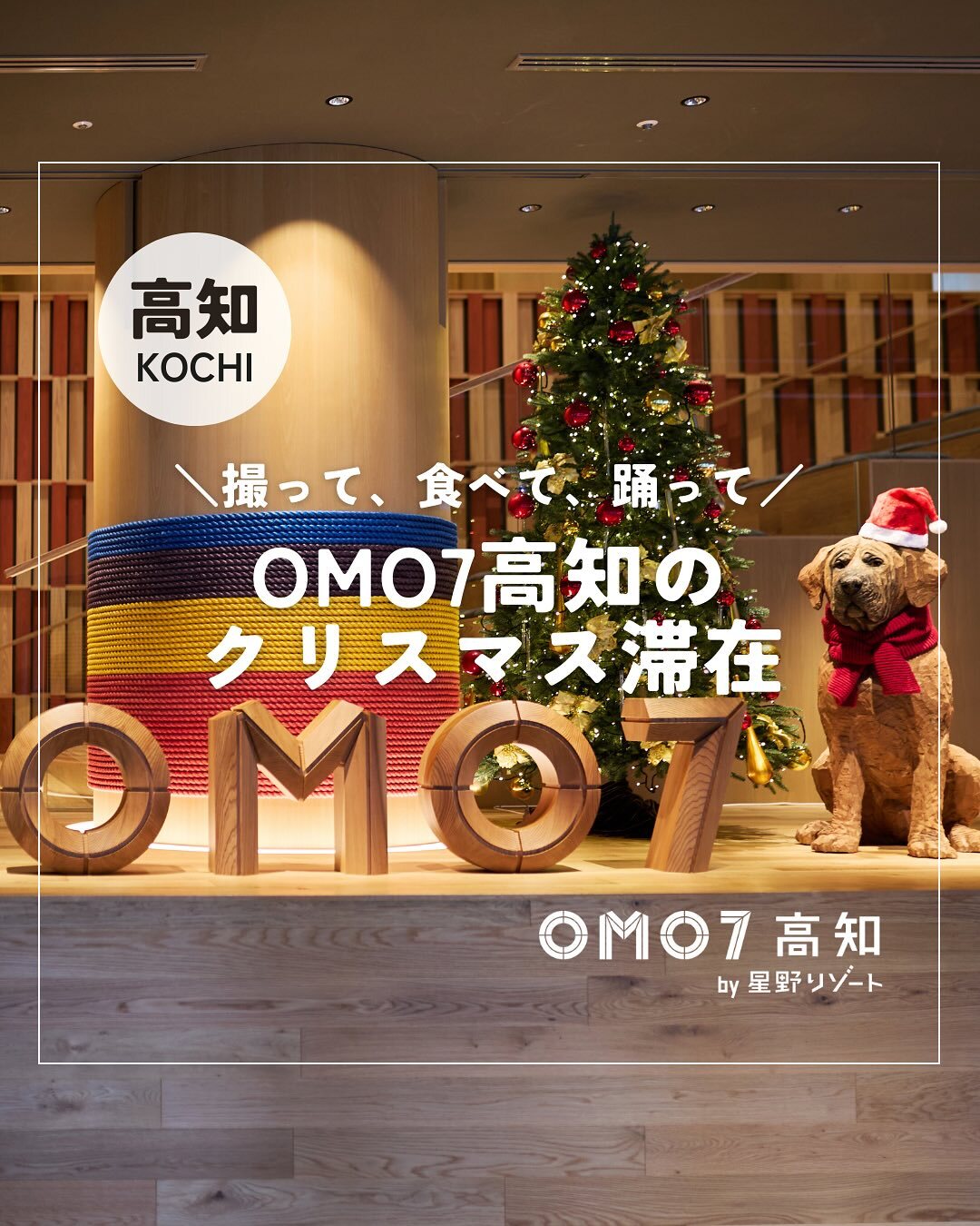 最新情報画像