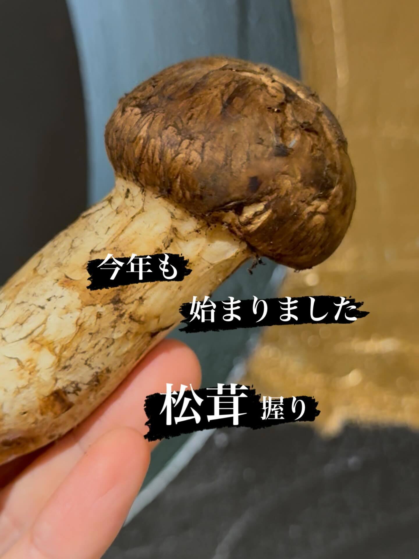 最新情報画像