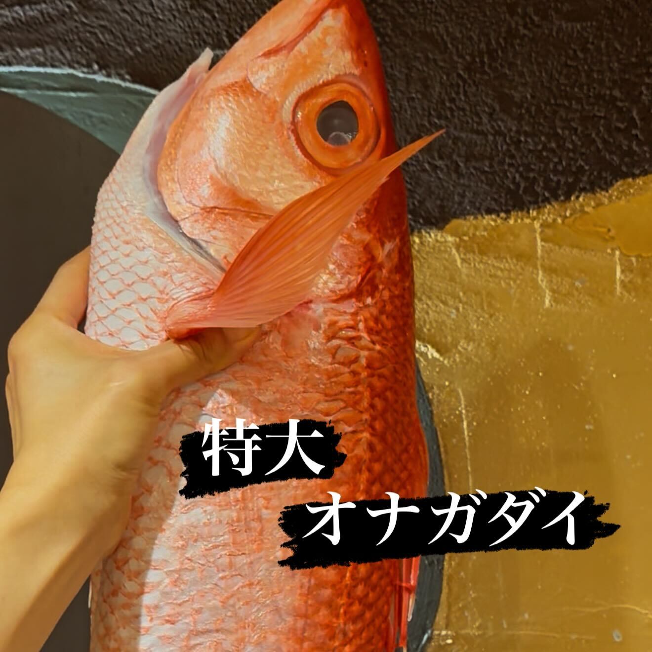 最新情報画像