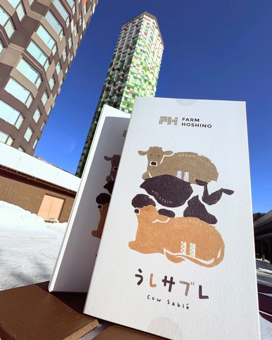 最新情報画像