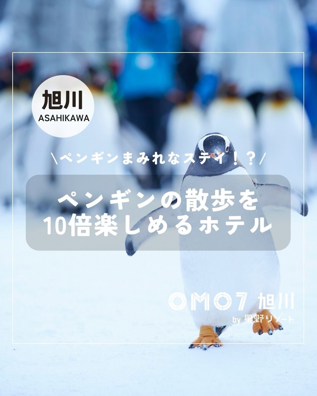 最新情報画像