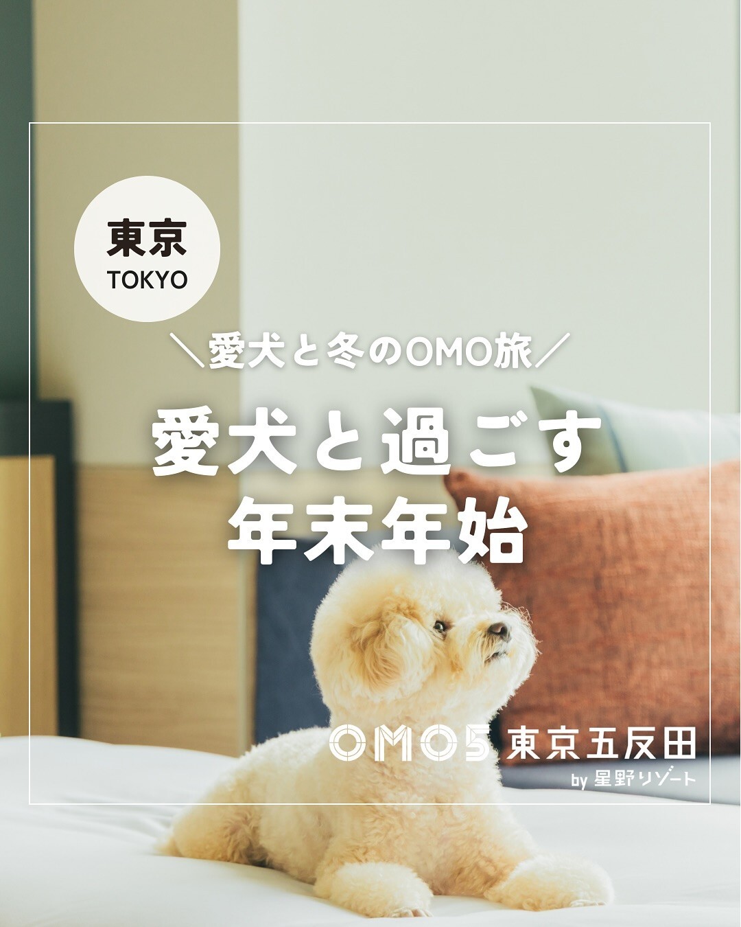 最新情報画像