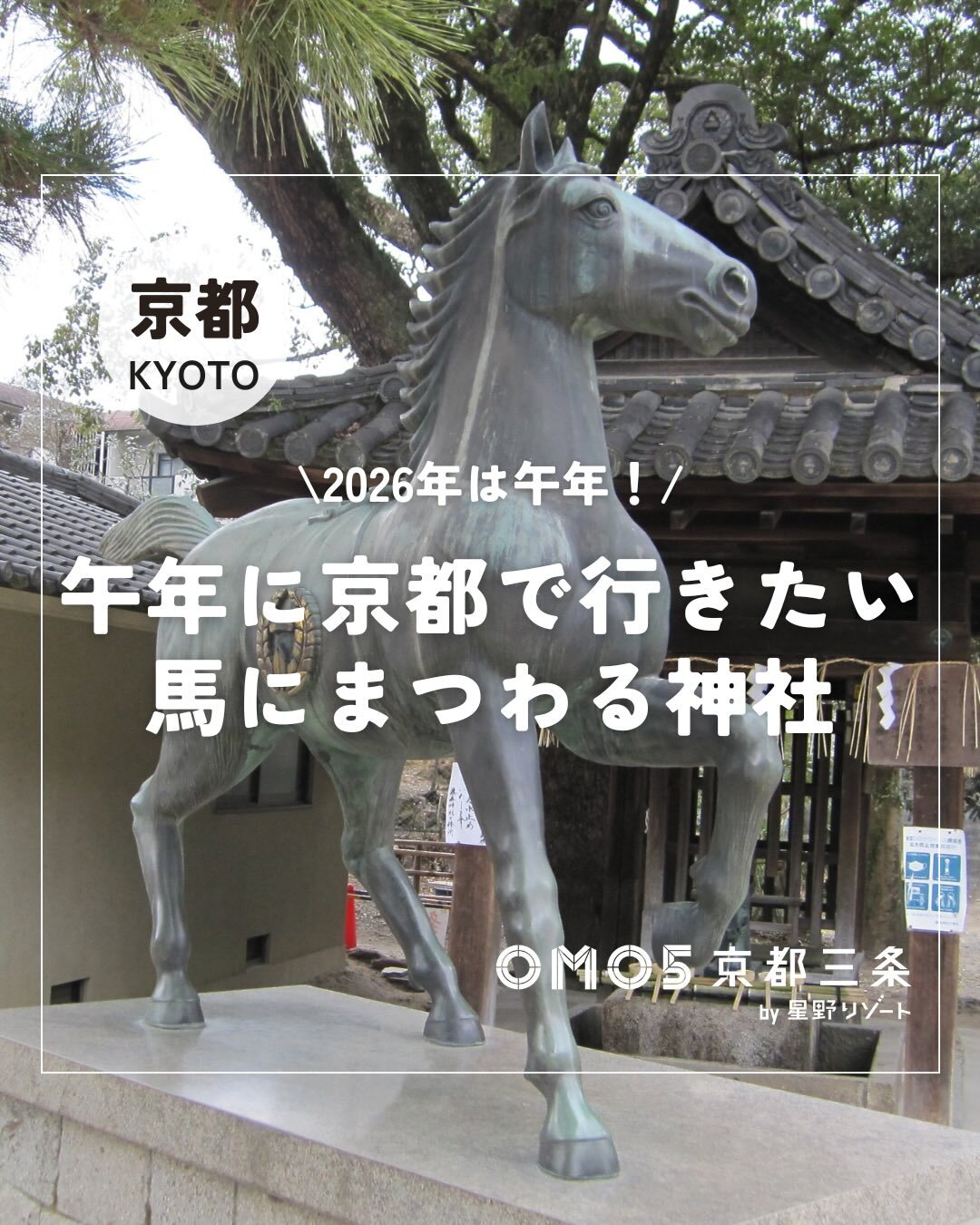最新情報画像