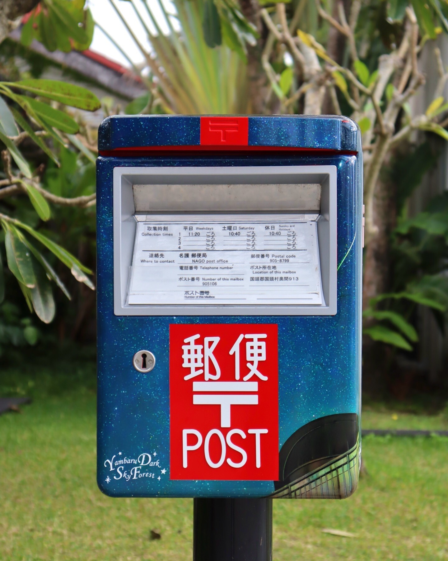 最新情報画像