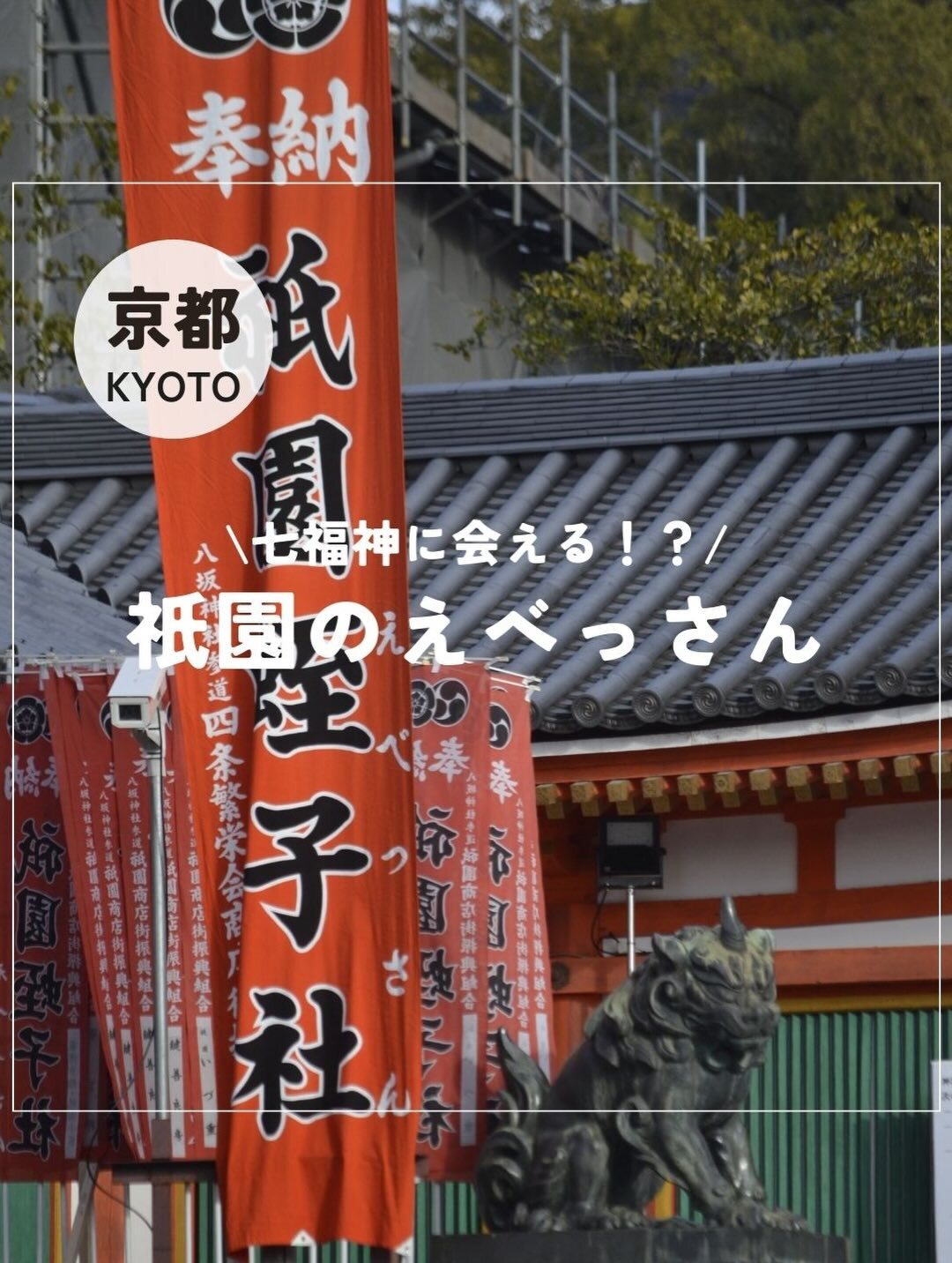 最新情報画像
