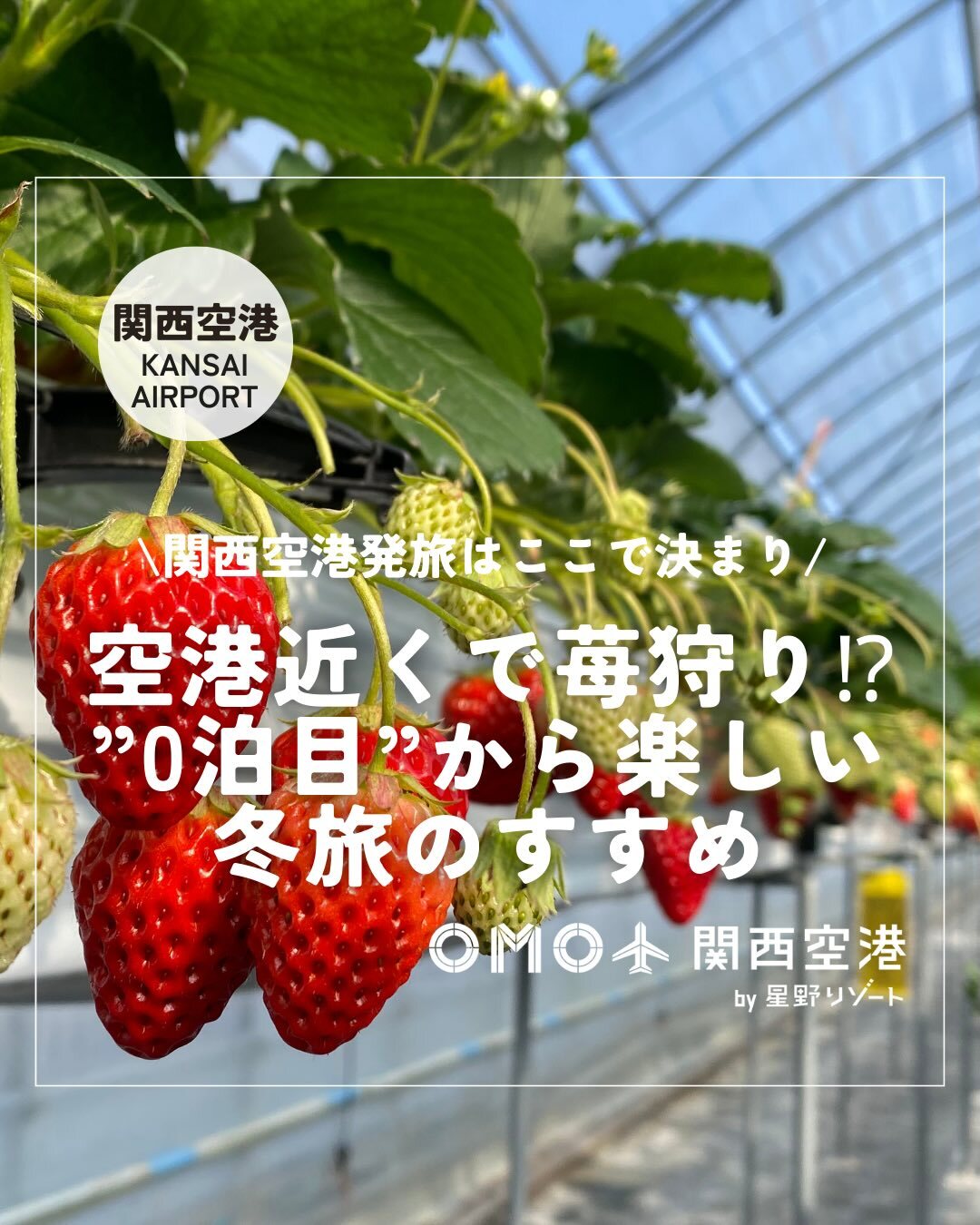 最新情報画像