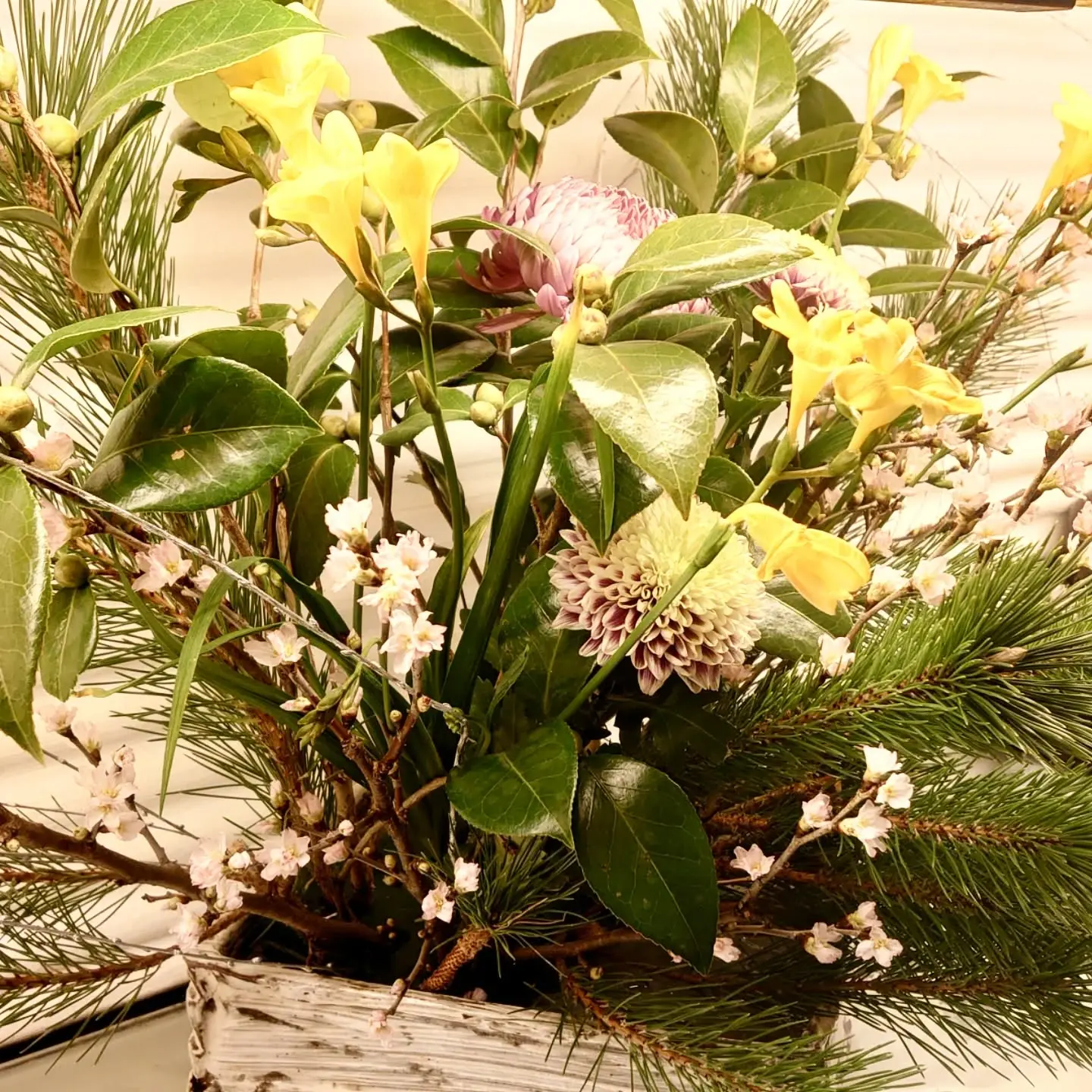 最新情報画像