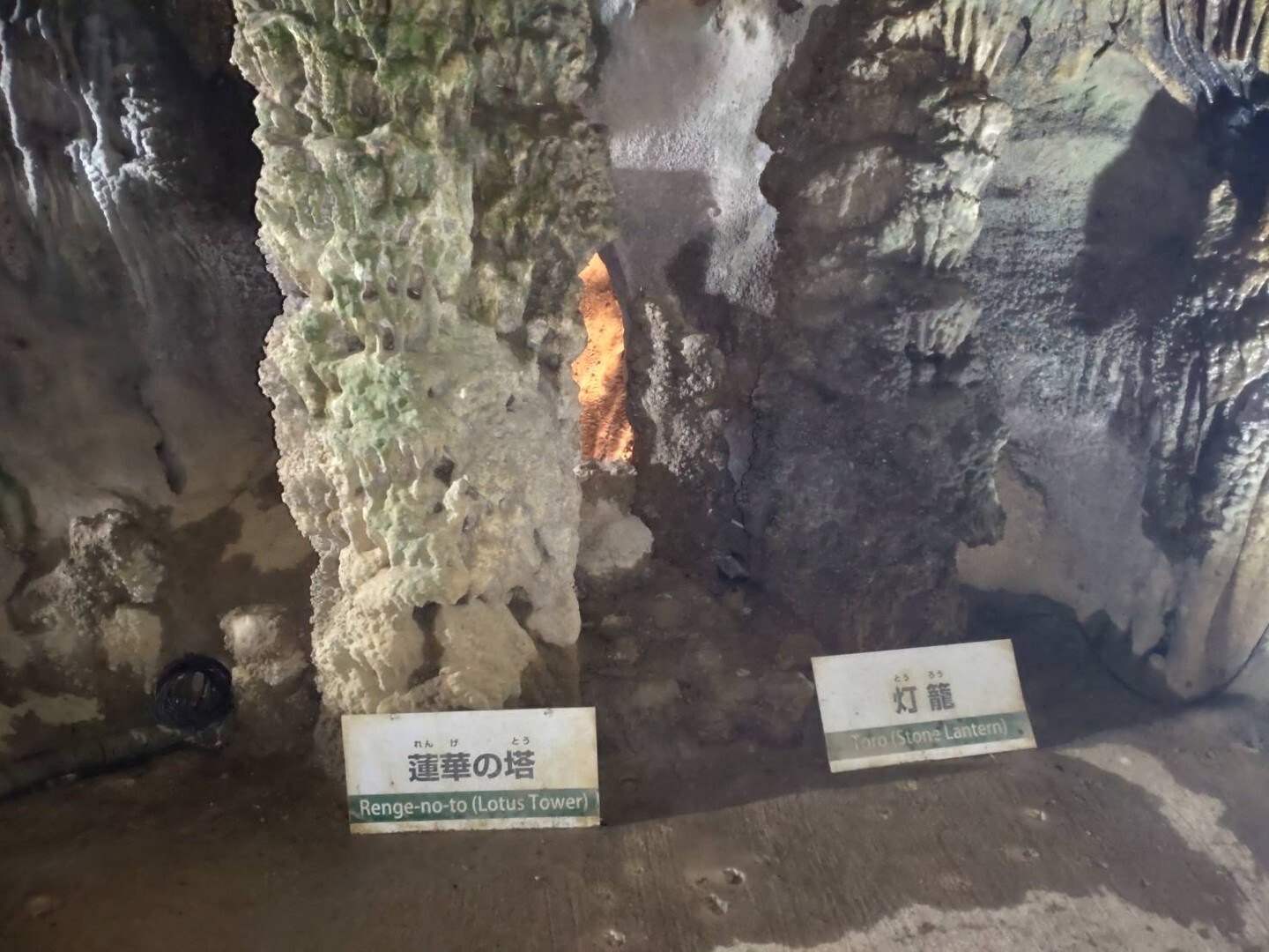 最新情報画像
