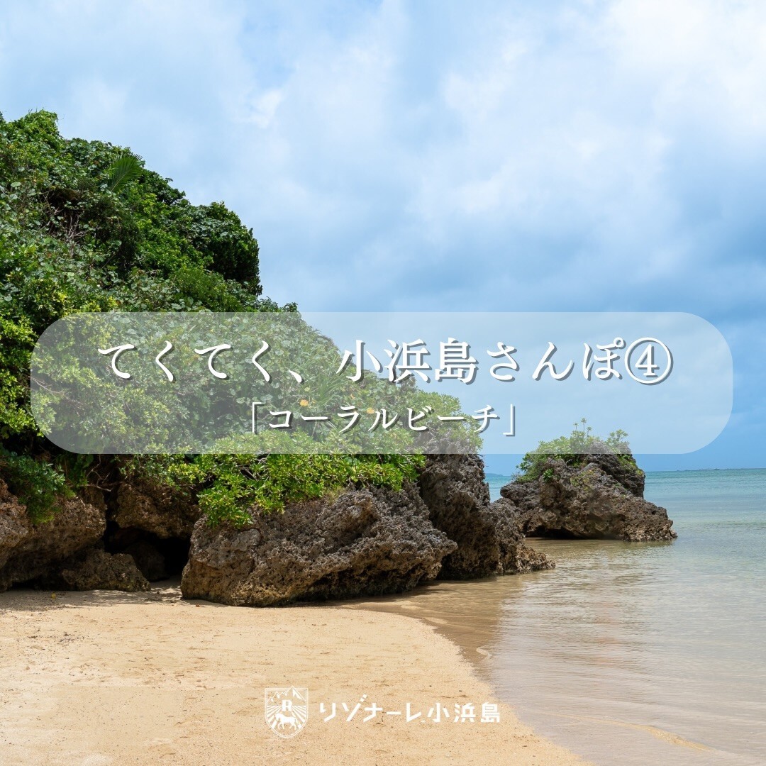 最新情報画像