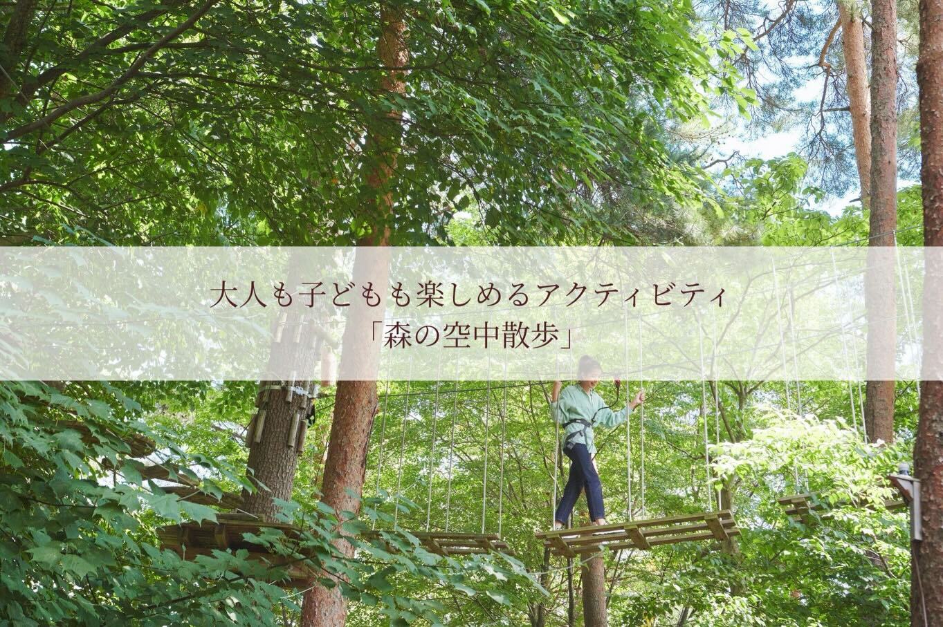 最新情報画像