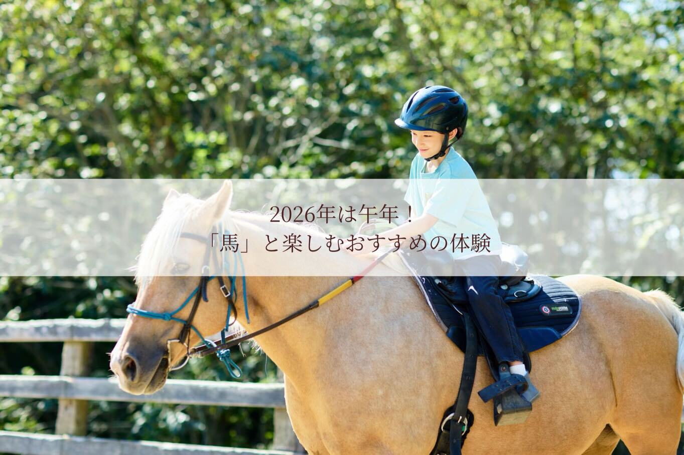 最新情報画像