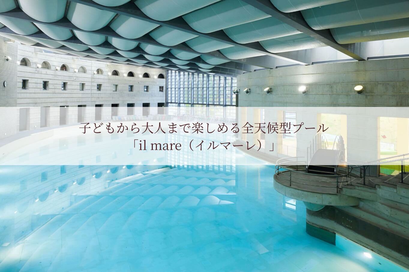 最新情報画像