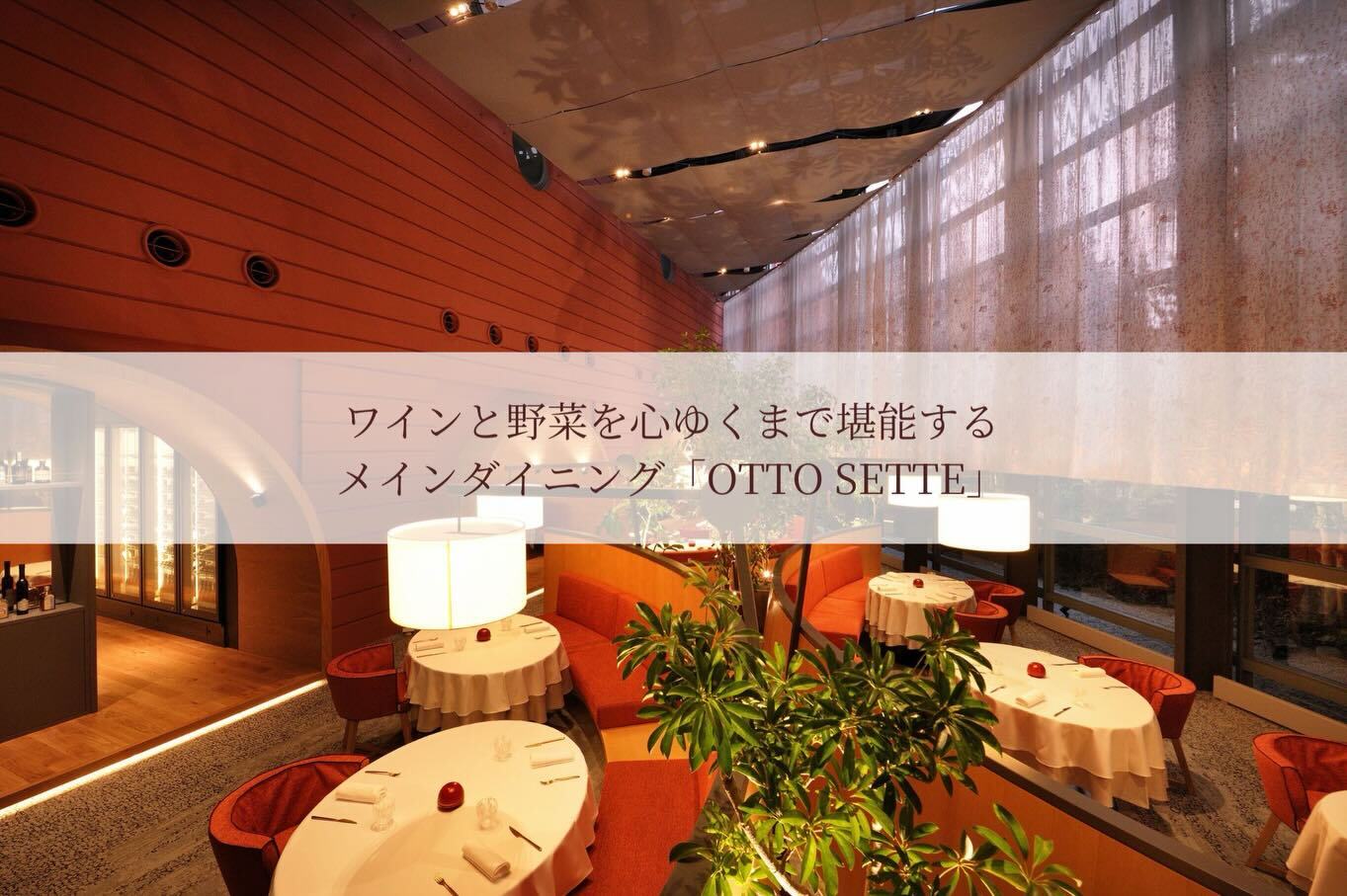 最新情報画像