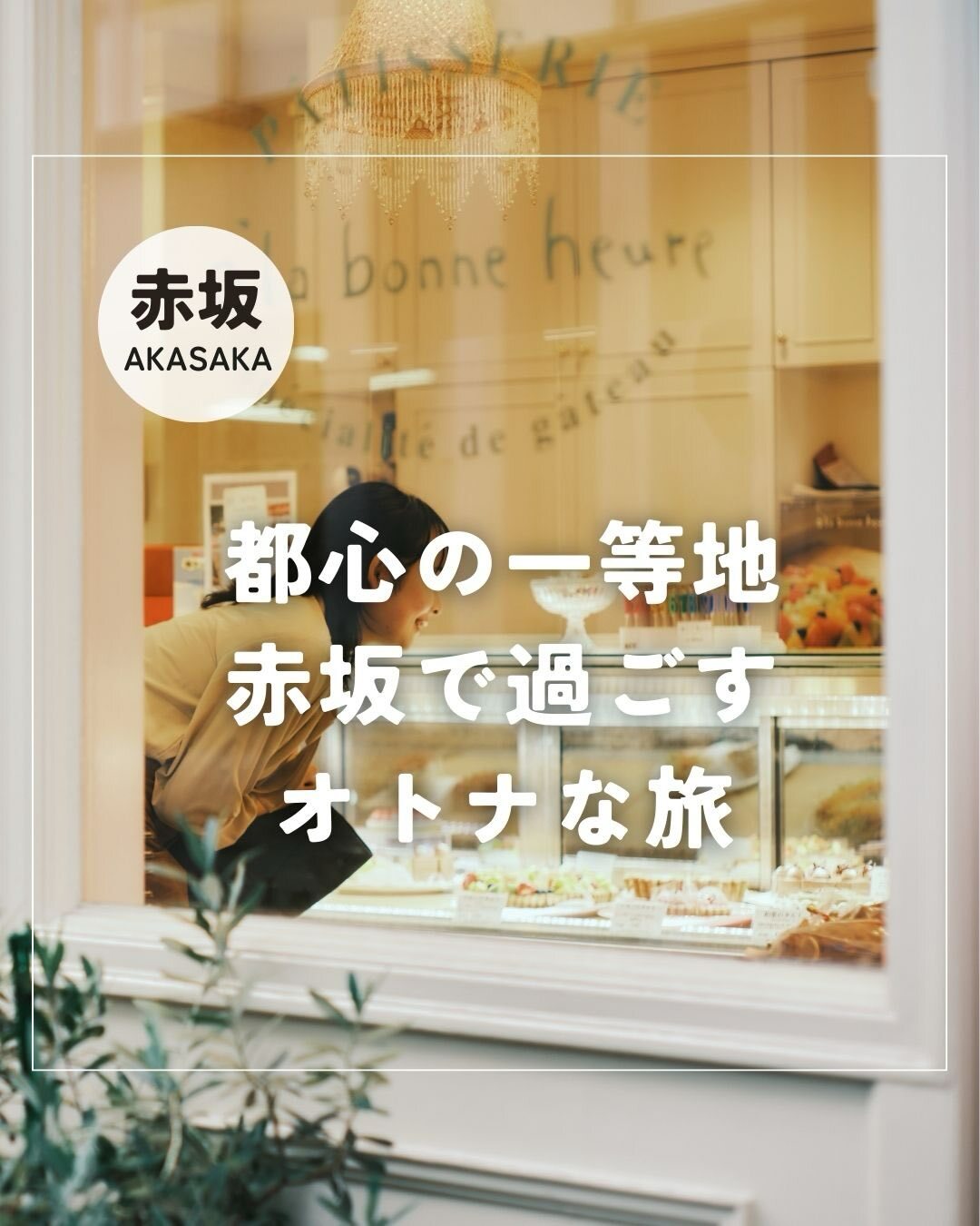 最新情報画像