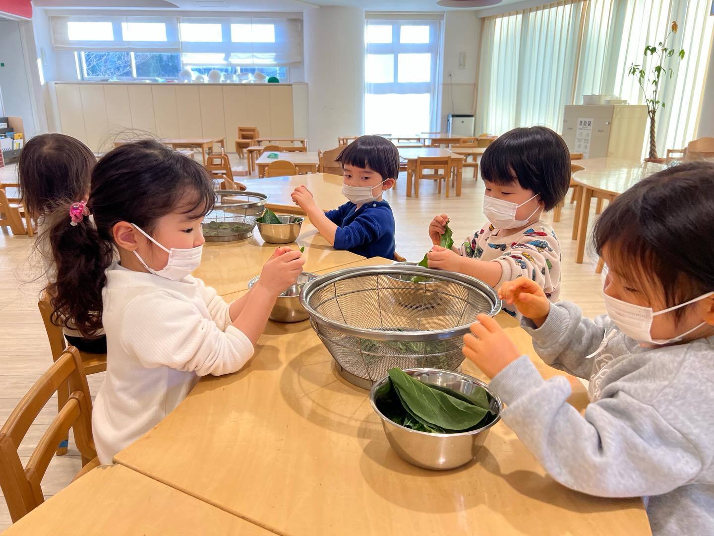 最新情報画像