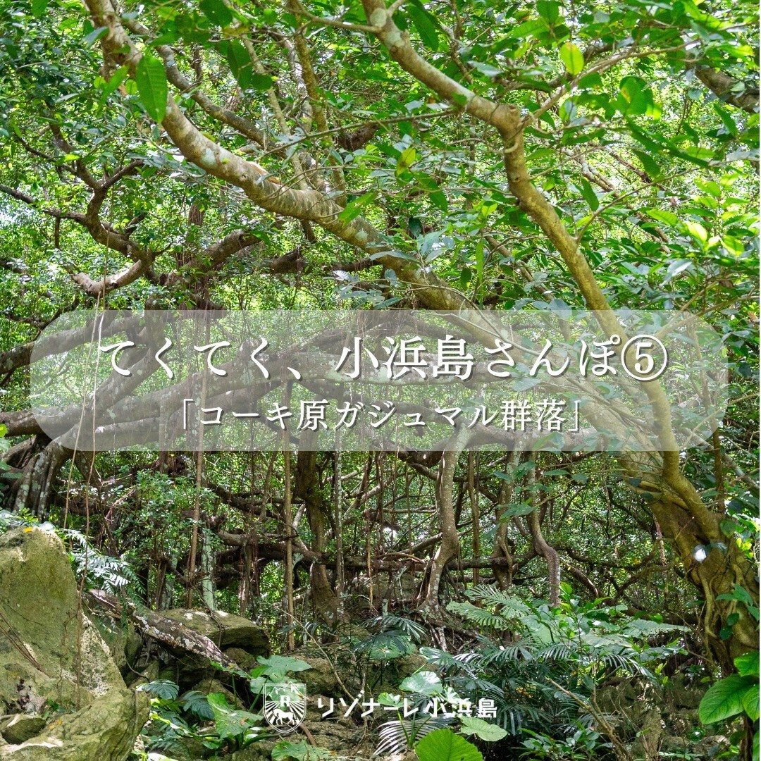 最新情報画像
