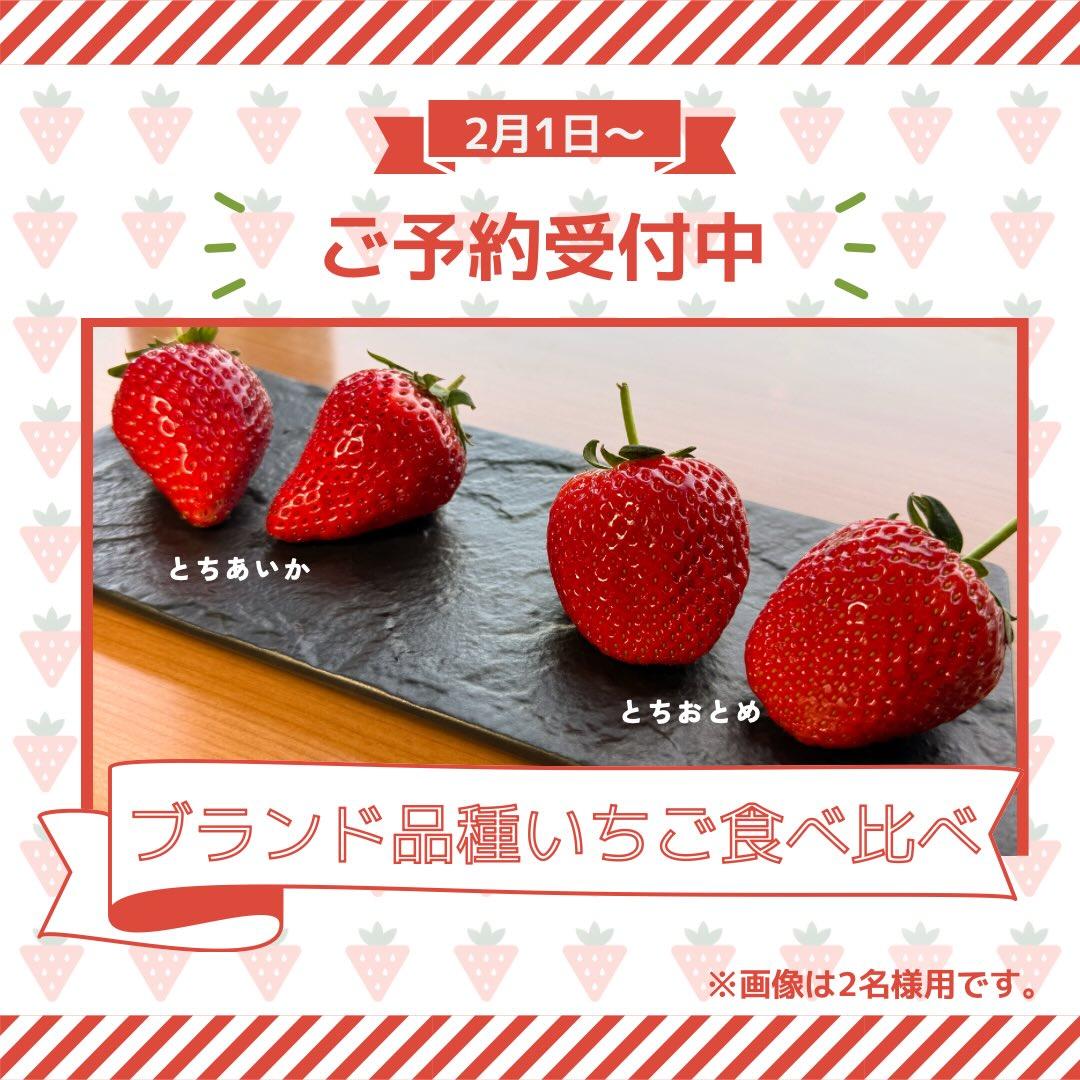 最新情報画像