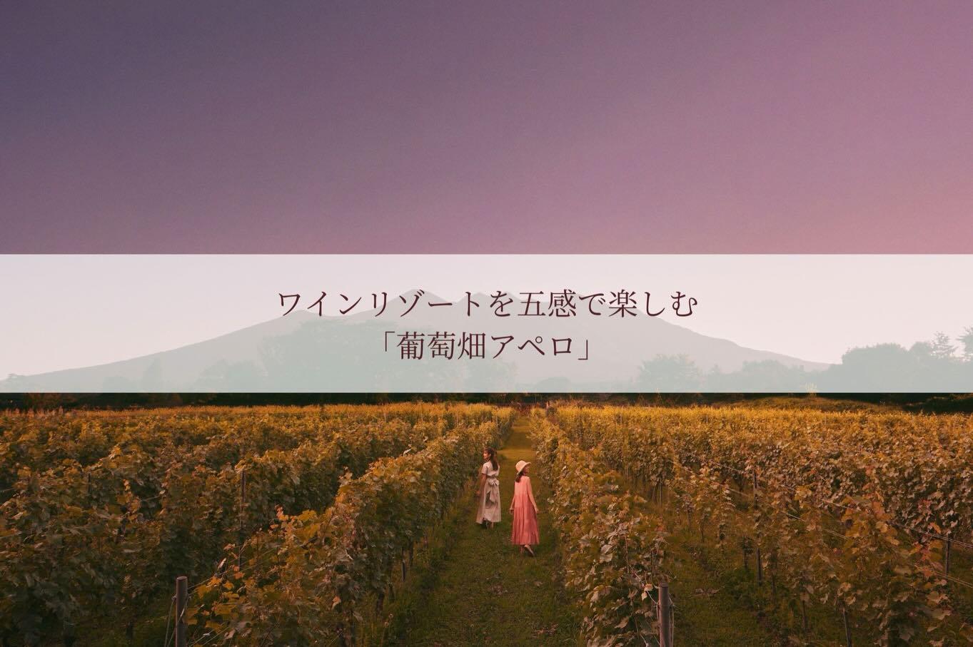 最新情報画像