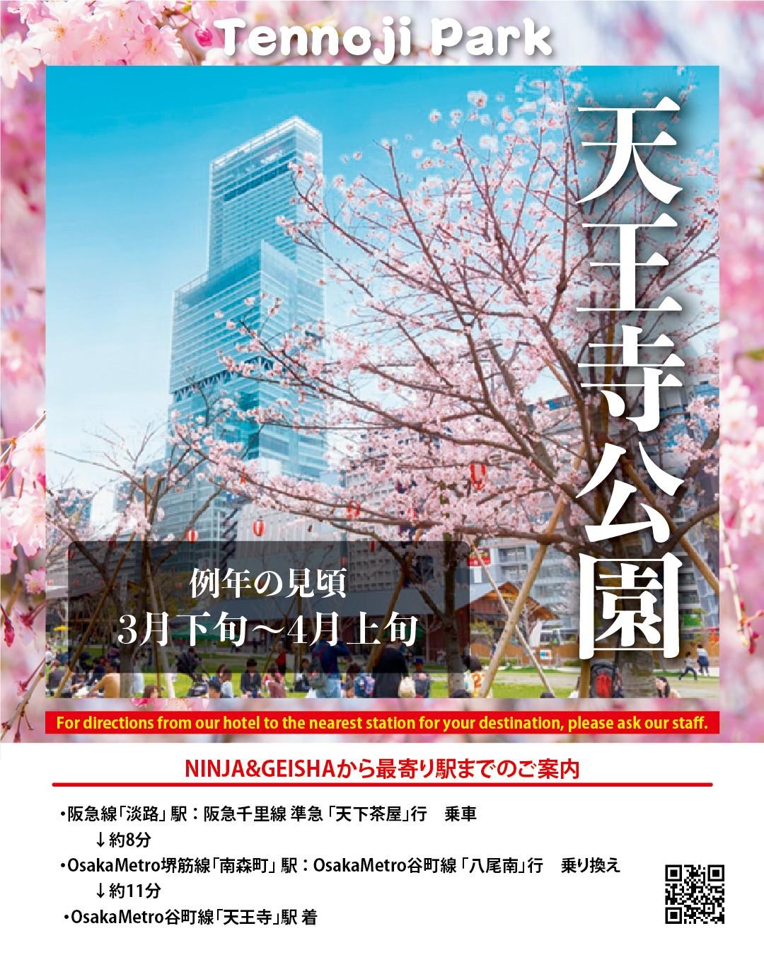最新情報画像