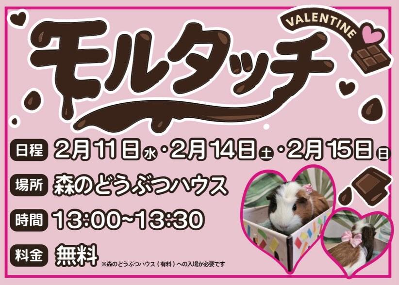 最新情報画像