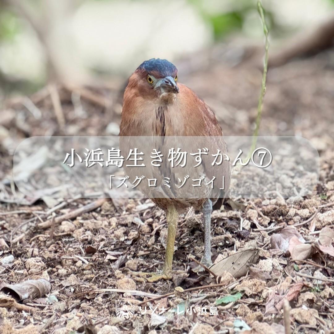 最新情報画像