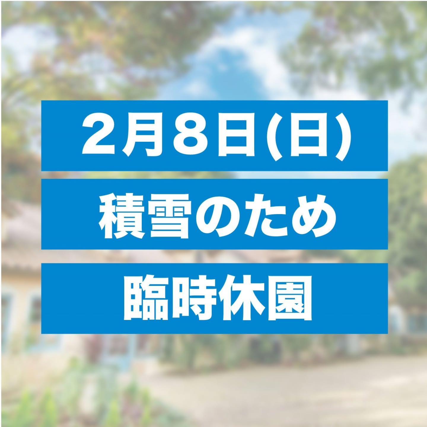 最新情報画像