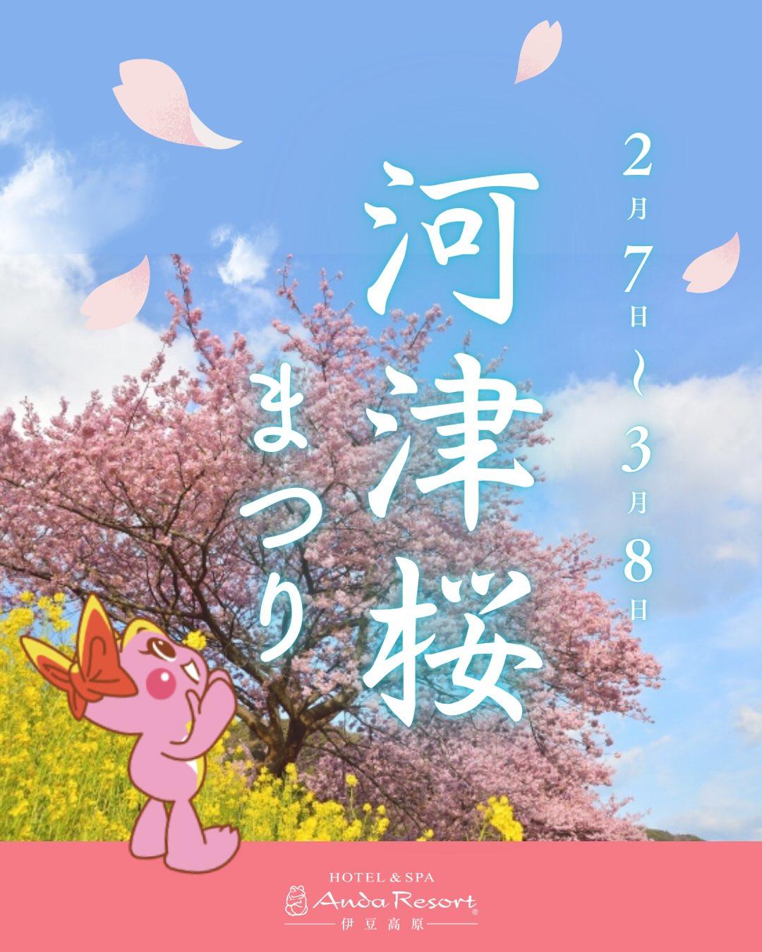 最新情報画像