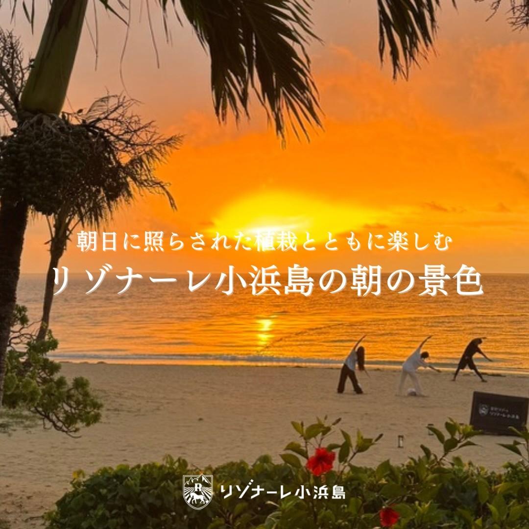 最新情報画像