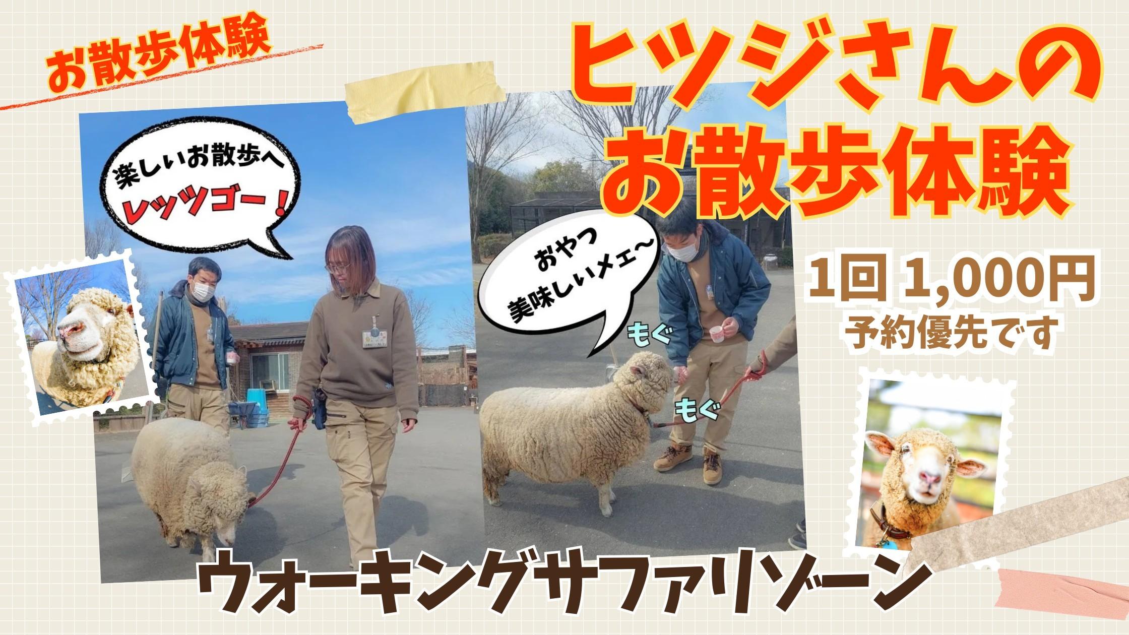 最新情報画像