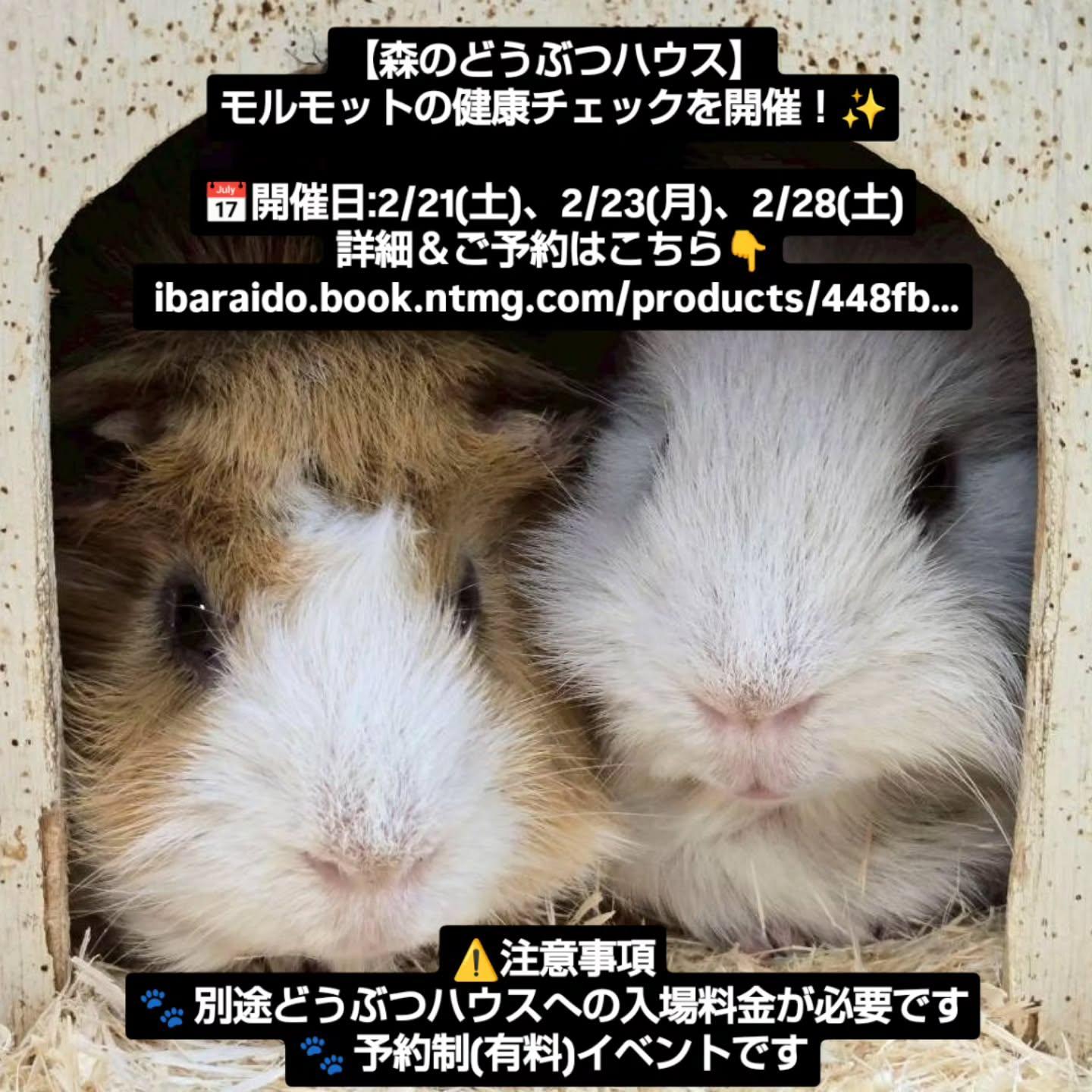 最新情報画像