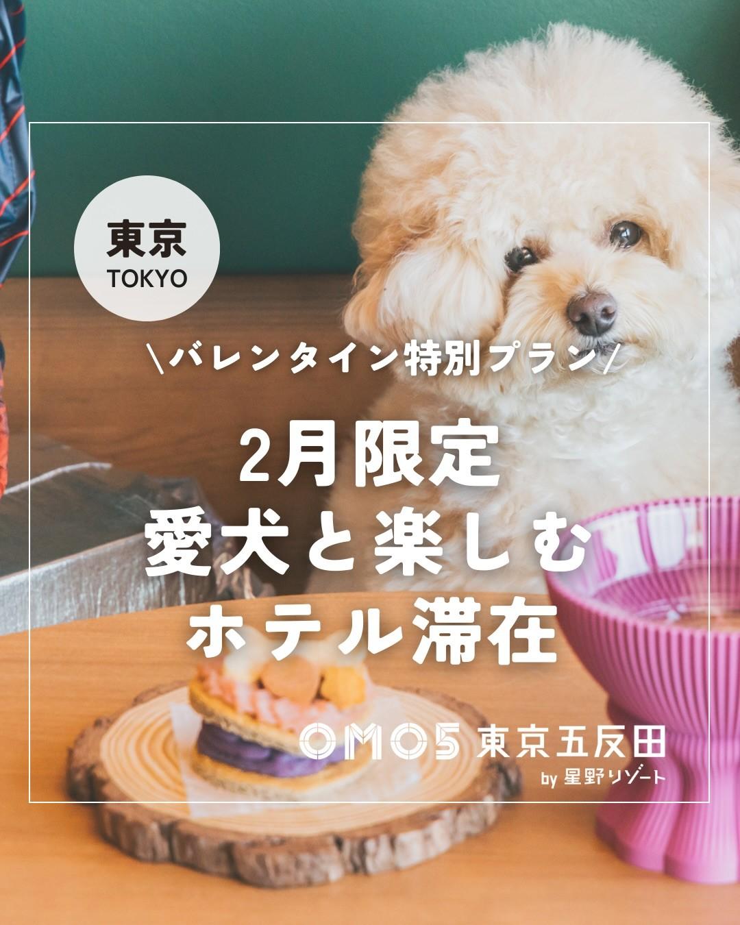 最新情報画像