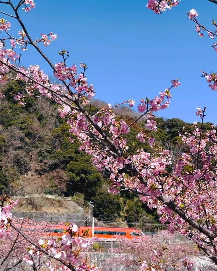 最新情報画像