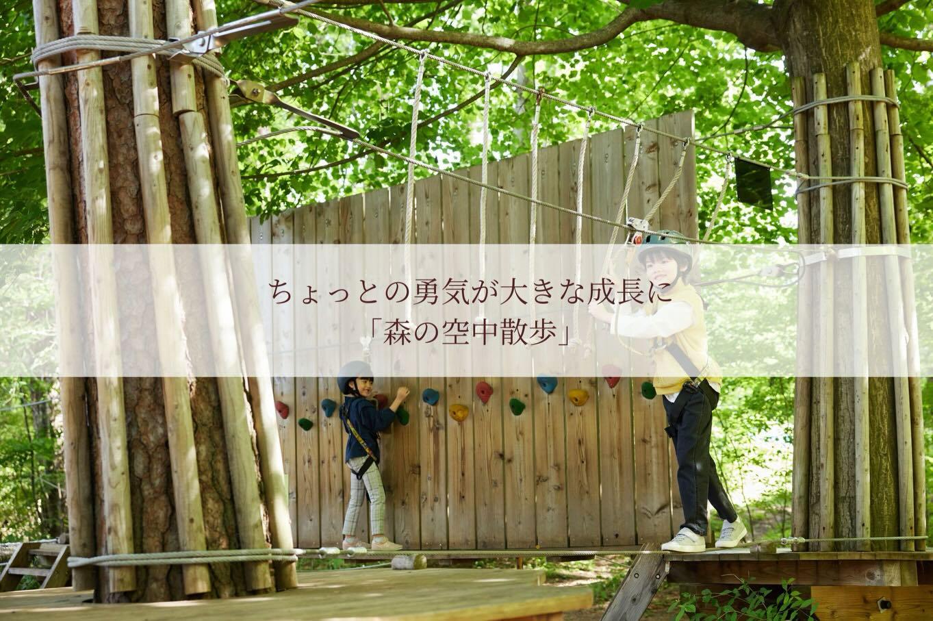 最新情報画像