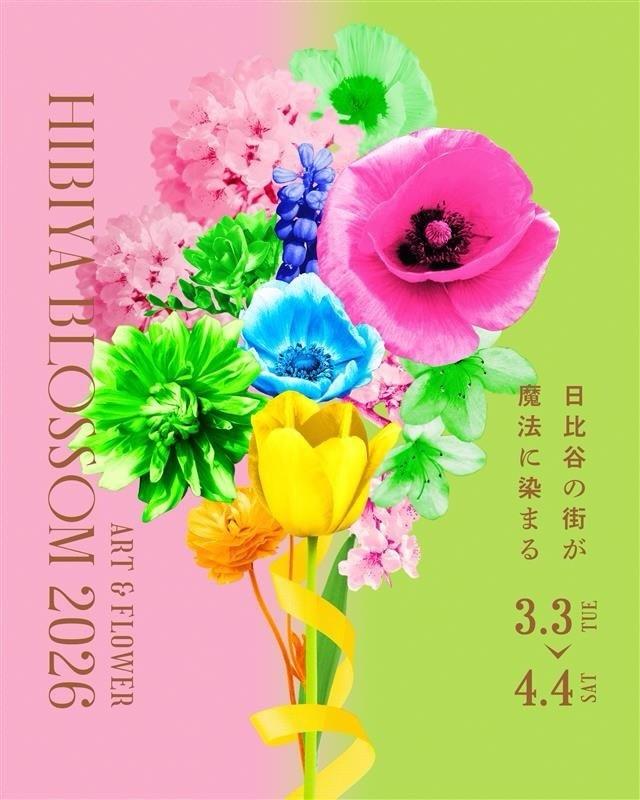 最新情報画像