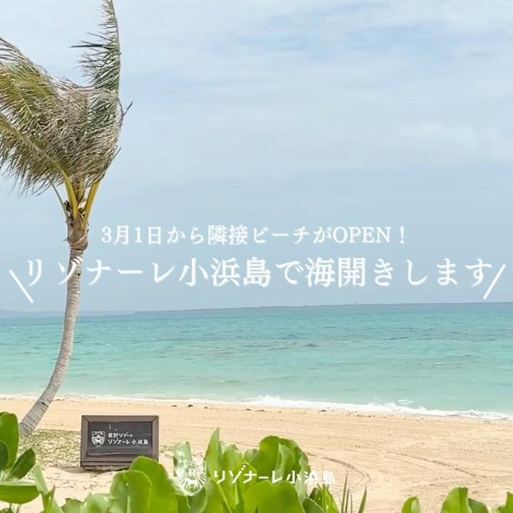 最新情報画像