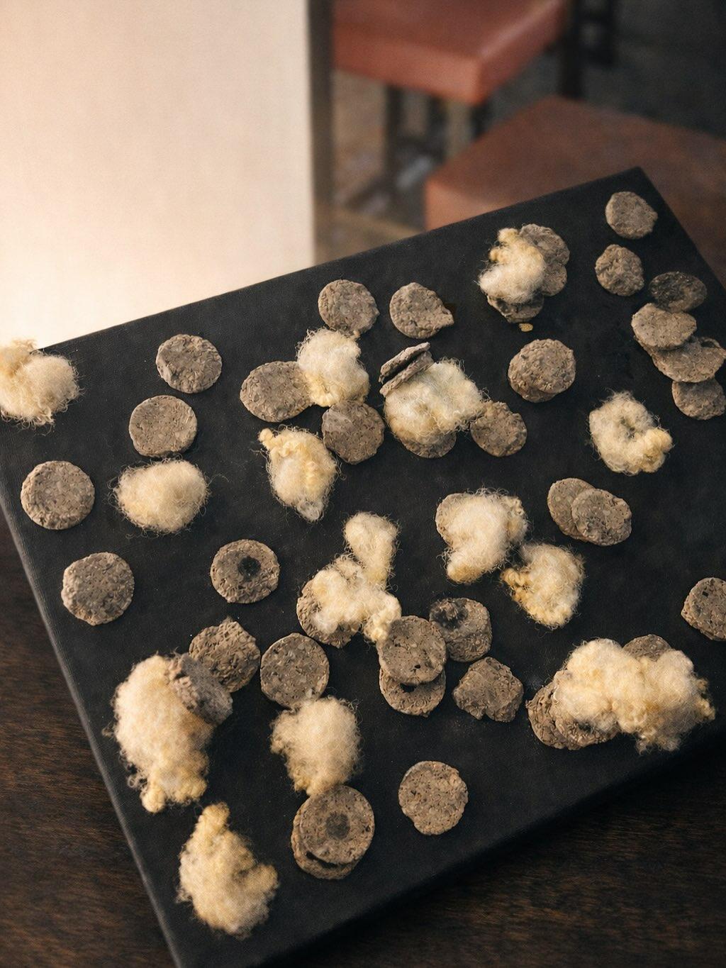 最新情報画像