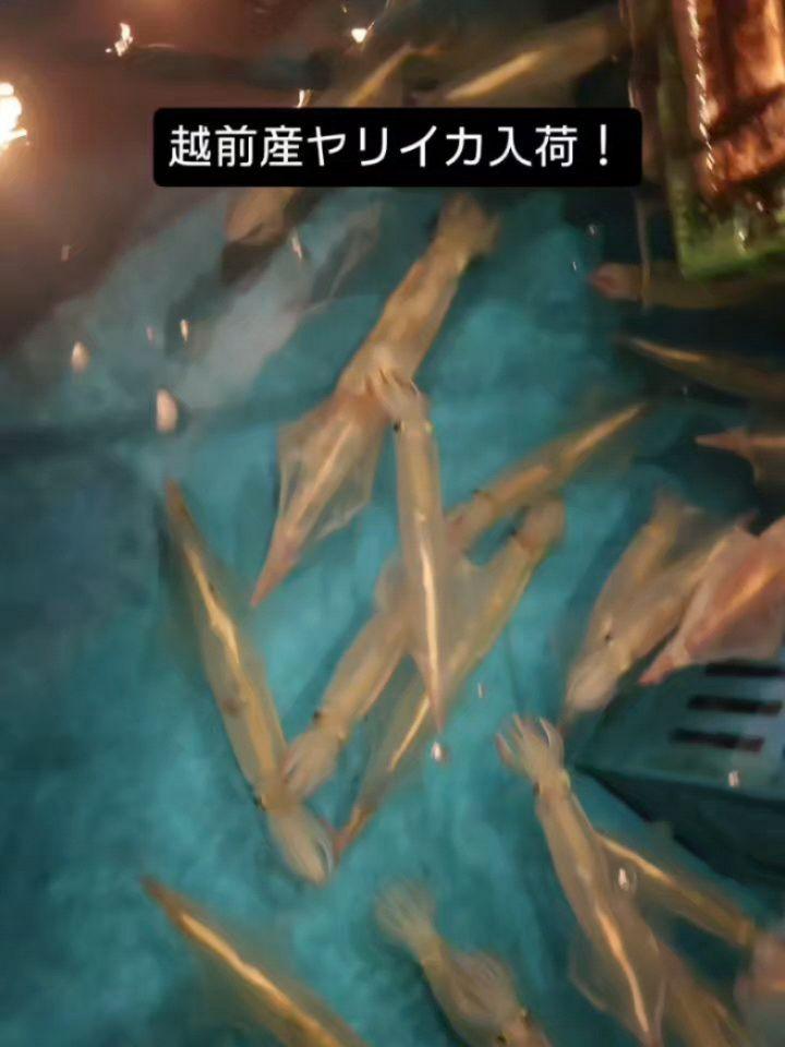 最新情報画像