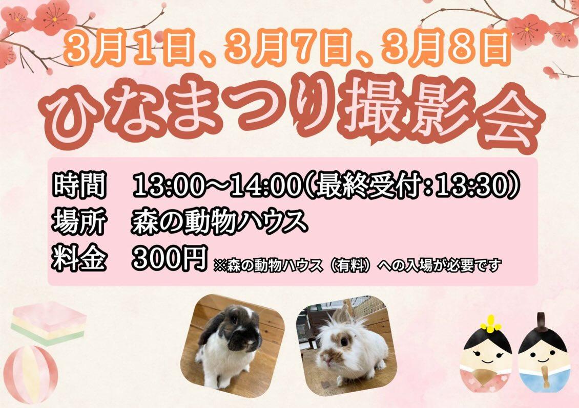 最新情報画像